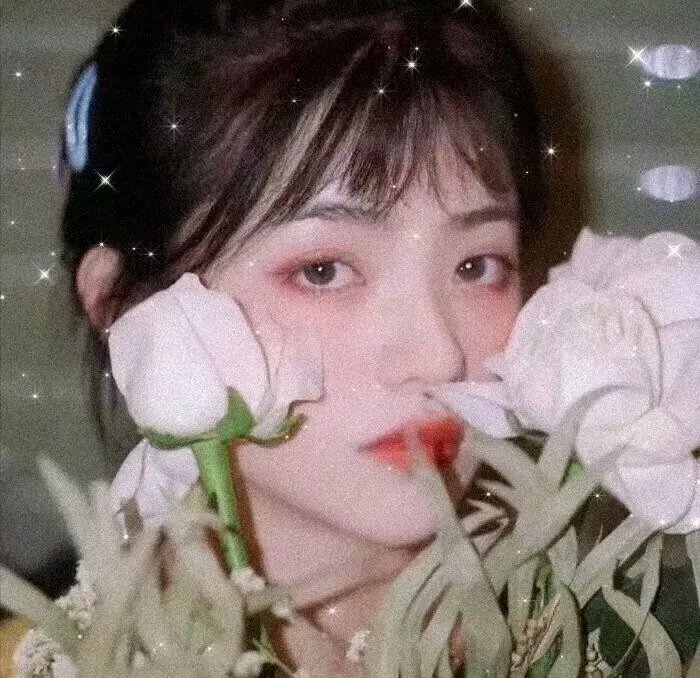 女导与强盗